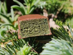 Barre proteinee aux proteines vegetales à la spiruline