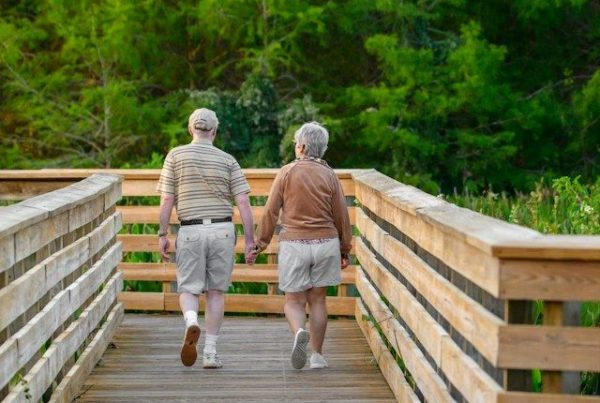 Senior: collagène, protéines, membrane d'oeuf pour bien vieillir
