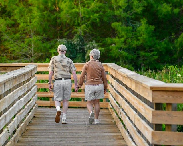 Senior: collagène, protéines, membrane d'oeuf pour bien vieillir